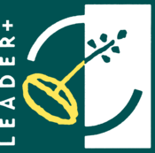 logo Leader 2007-2013